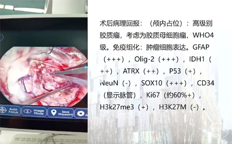 企业微信截图_16904276857239.png