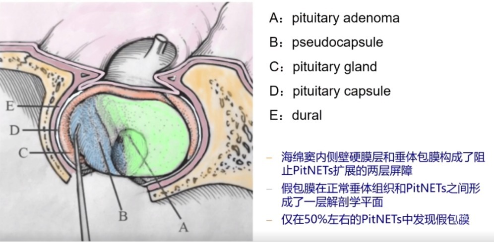 企业微信截图_16905221094989.png