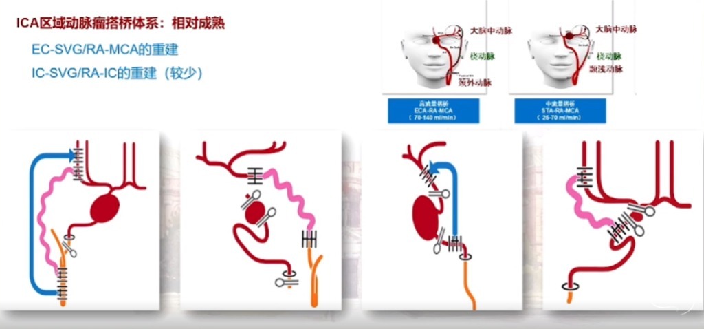 企业微信截图_16908746643582.png