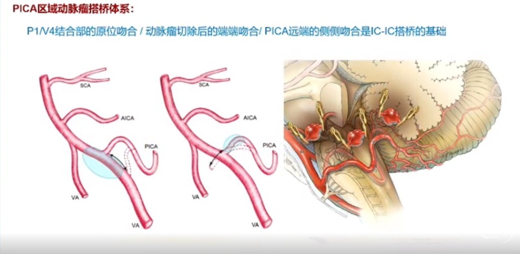 企业微信截图_16908764101798.png