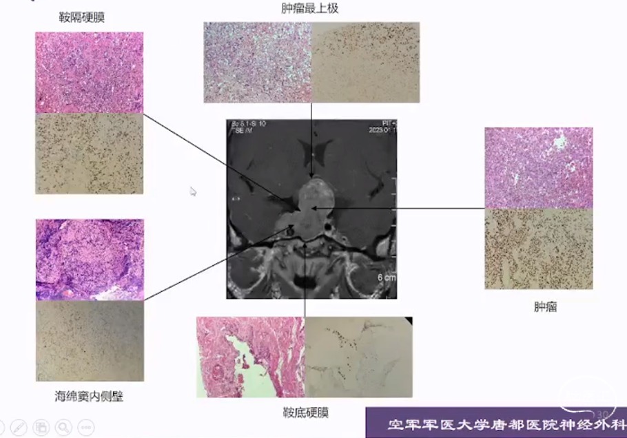 企业微信截图_16910330172648.png