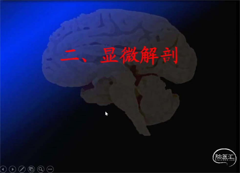 17.png