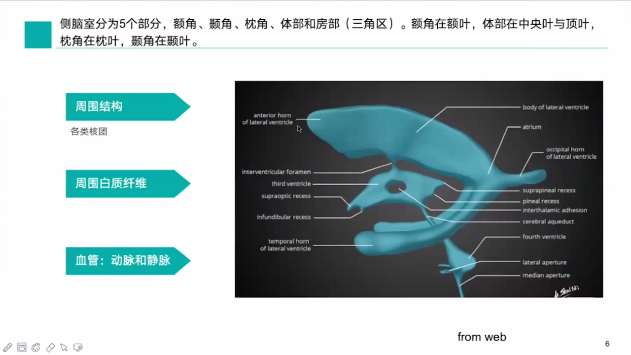 杨坤教授:神经内镜治疗侧脑室肿瘤策略 - 脑医汇