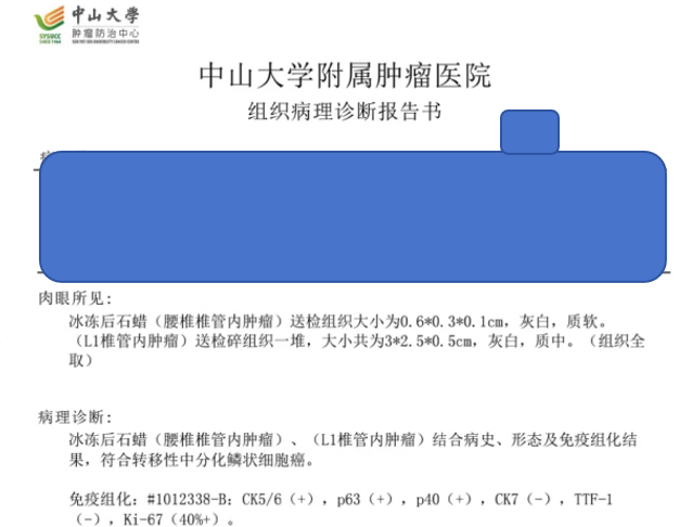 WPS图片(1).png