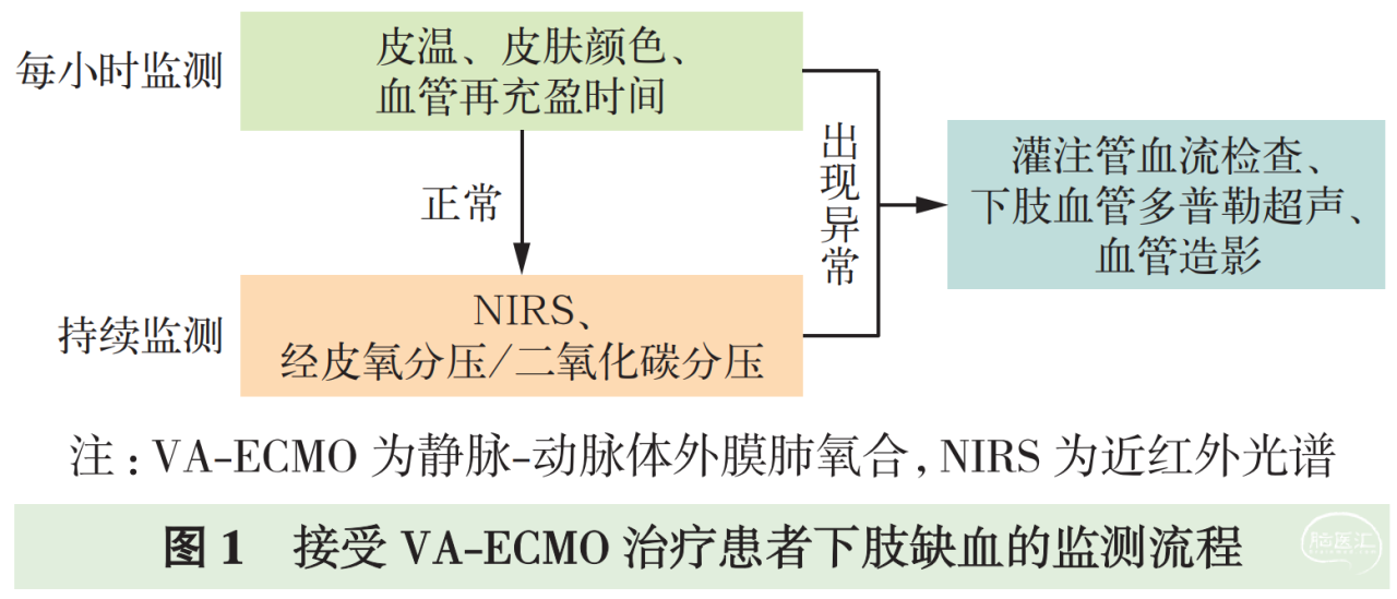 389d6116be2a8f2d013ccabb74baa84.png