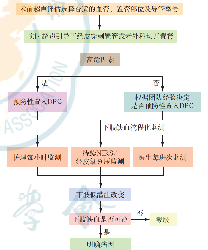 33cf76e9c618a6db3fa088dd552d79b.png