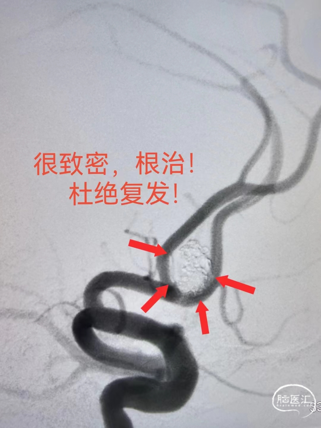 fe24e435ca4adfe022216826dbffcb0.jpg