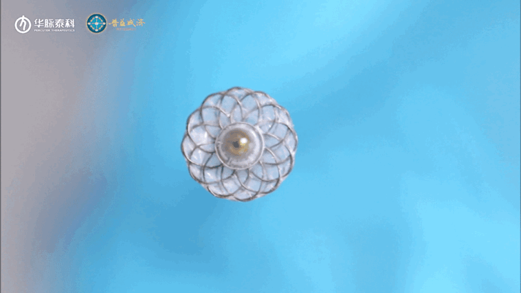 A1.gif