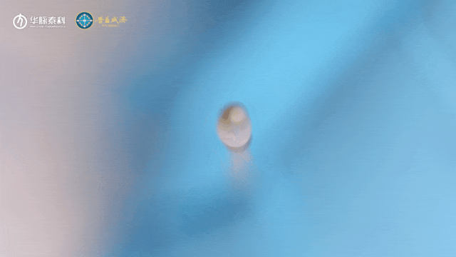A2.gif