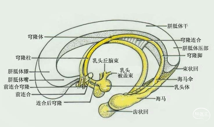WPS图片(1).jpeg