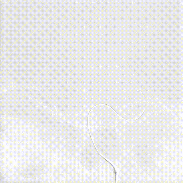 视频17 00_00_00-00_00_30.gif