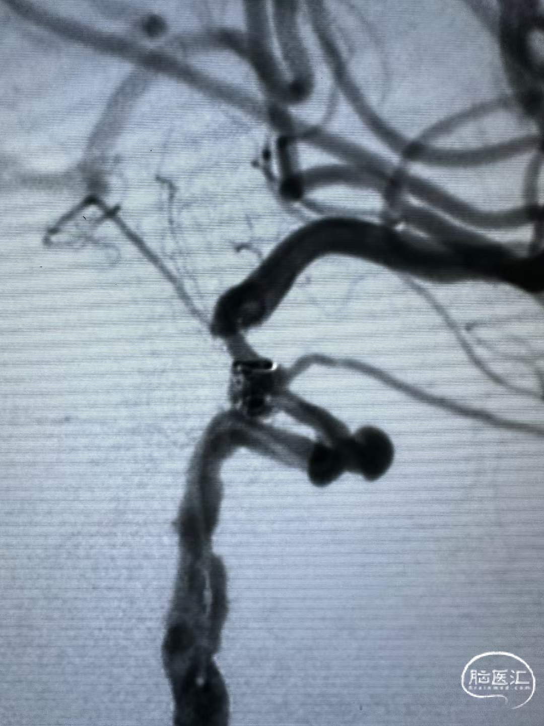 67fe76d06b2a1967652e71c7ac087213.jpg