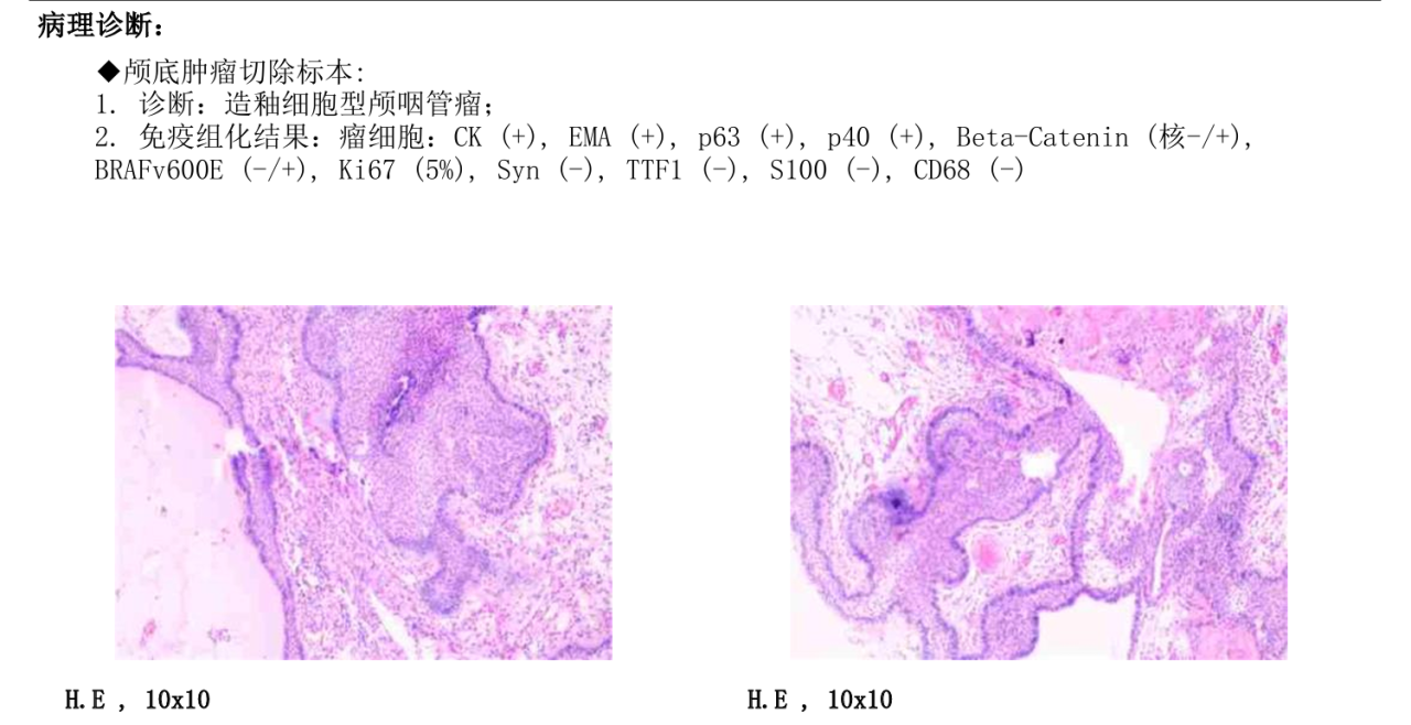 WPS图片(10).png