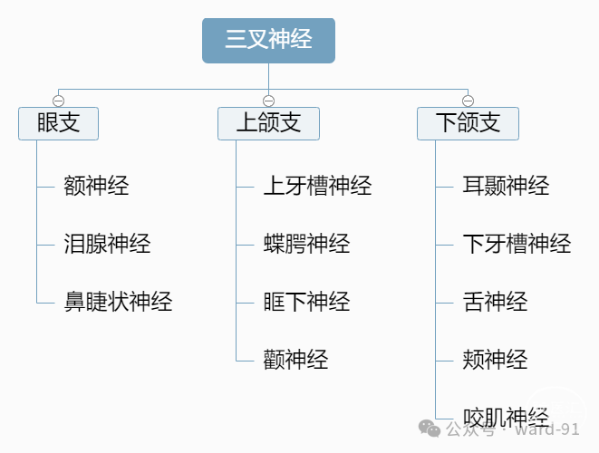 【进修笔记day18】三叉神经半月节射频消融术的步骤? - 脑医汇 - 神外资讯 - 神介资讯