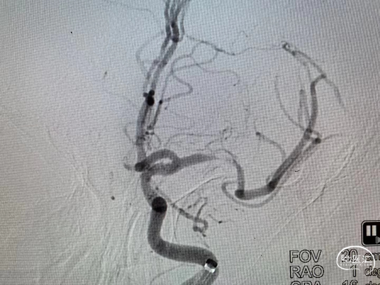 8ec4977b6fdceafaf5d94cafd904b11.jpg