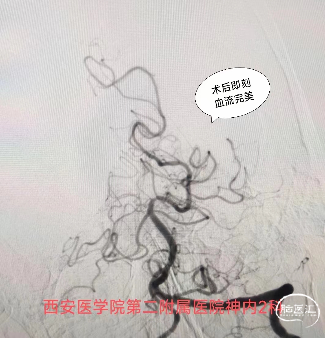 c6e88a2cd88dd0947dbeb0e6db6aaac.jpg