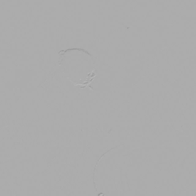 图片13.png
