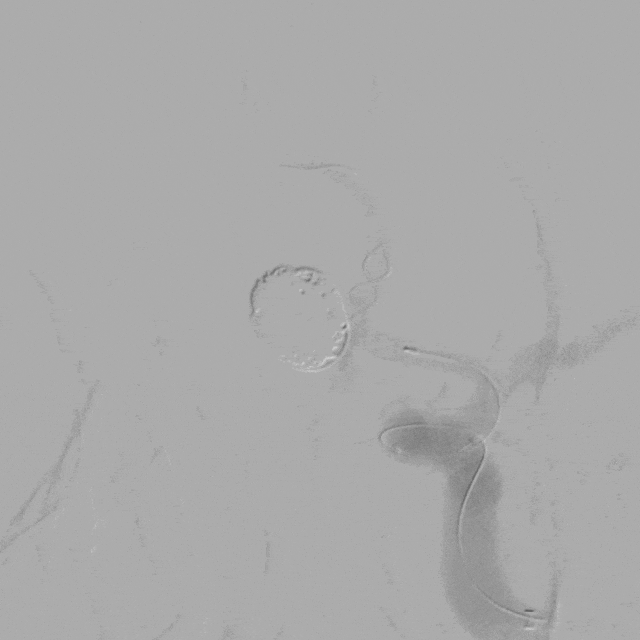 图片12.png