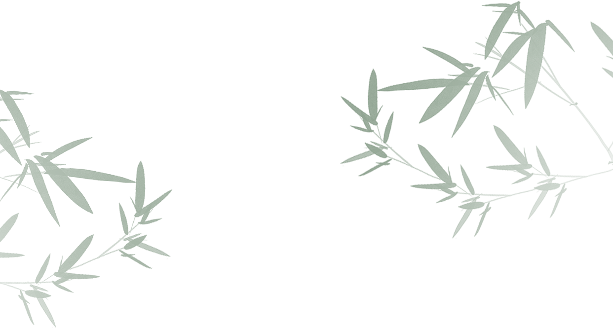 组 3.png