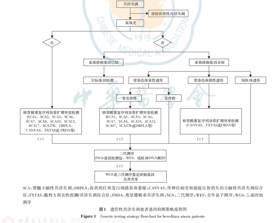 、图一.png