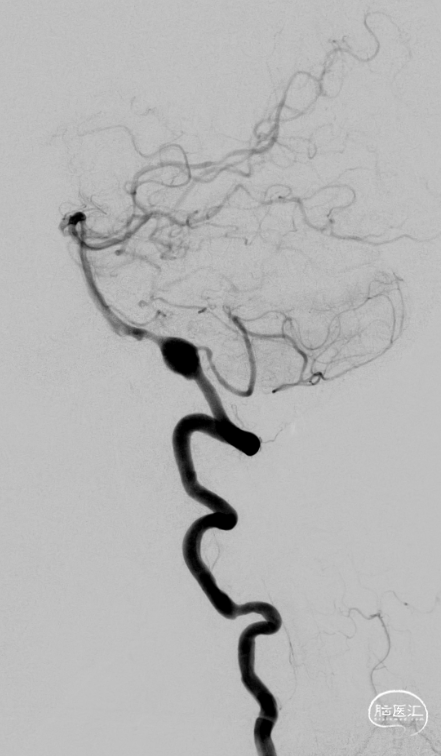 image6.png