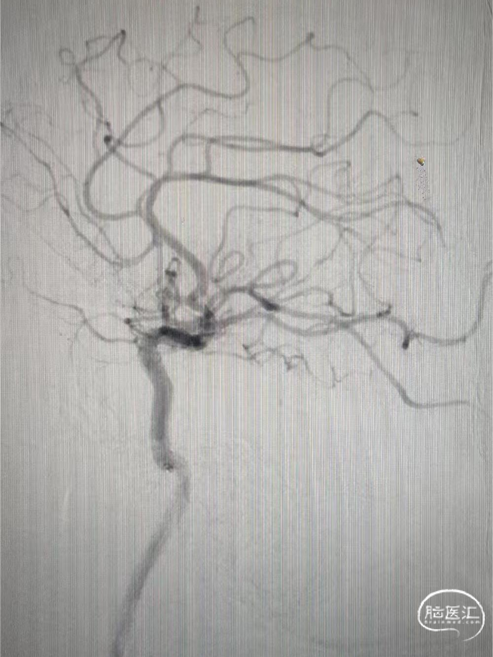 image12.png