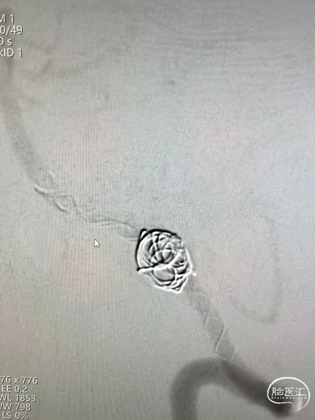image29.jpeg