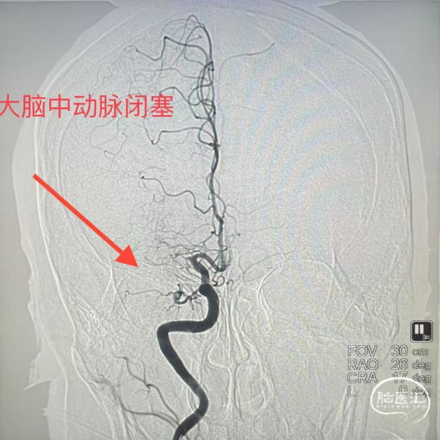 image12.png