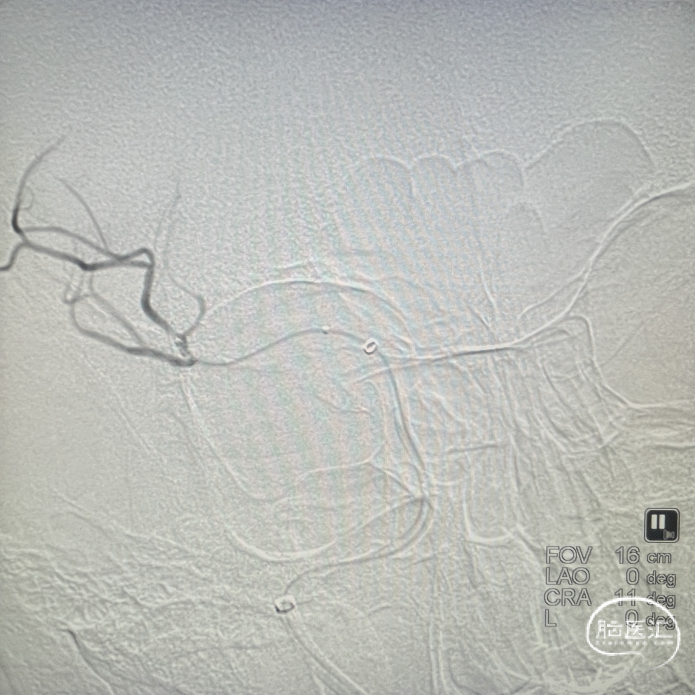 image13.png