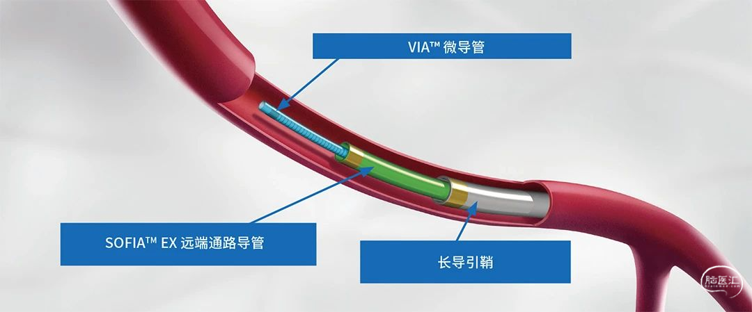 image12.png