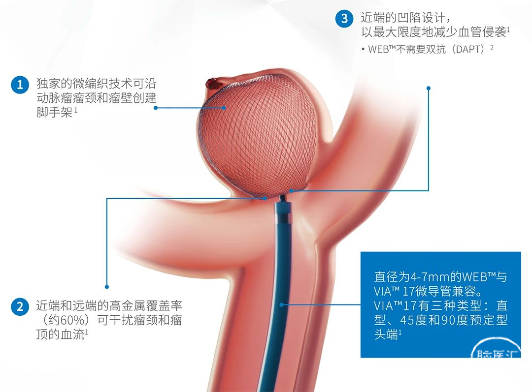 image6.png