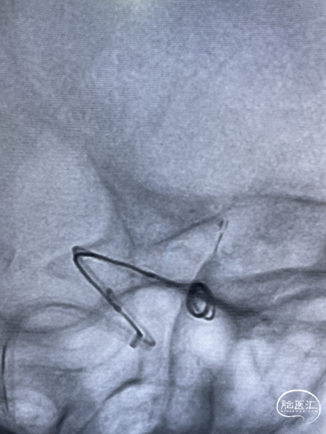 image17.jpeg