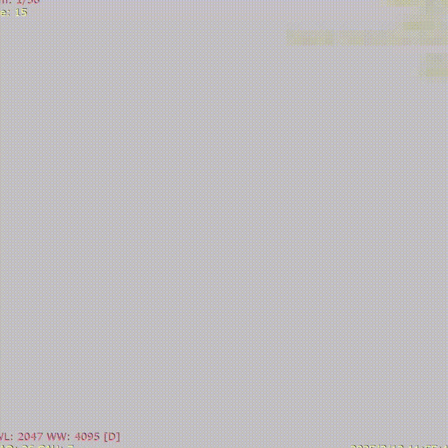 ppt14-1 00_00_00-00_00_30.gif