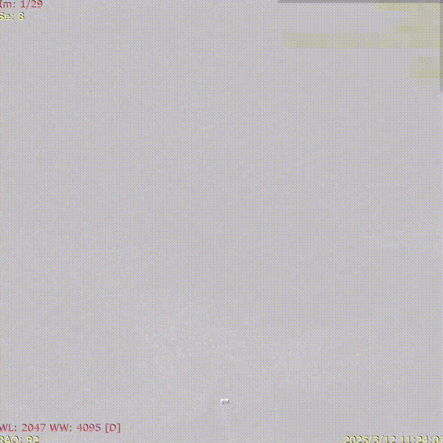 ppt4-2 00_00_00-00_00_30.gif
