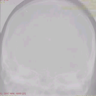 ppt22-1.gif