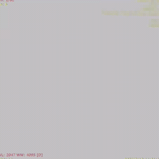 ppt3-1 00_00_00-00_00_30.gif