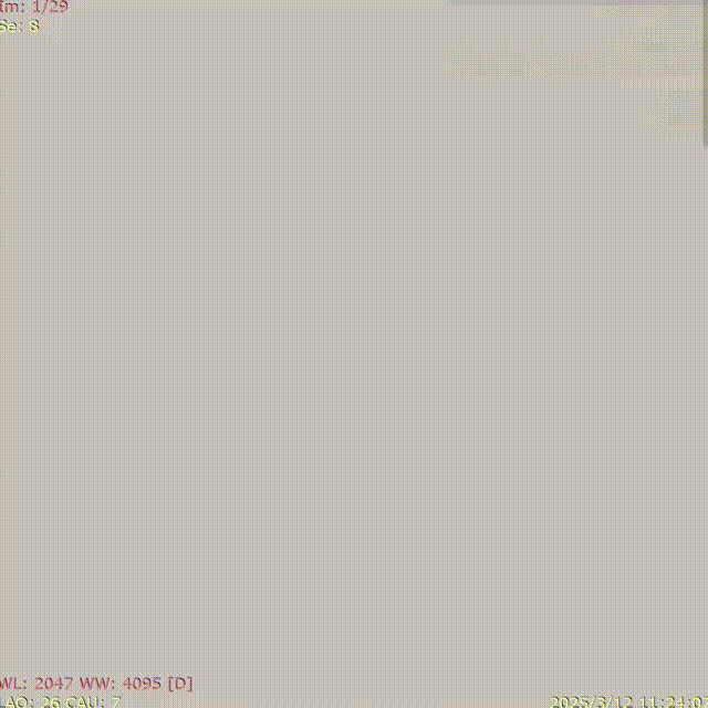 ppt4-1 00_00_00-00_00_30.gif