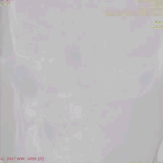 ppt43-1.gif