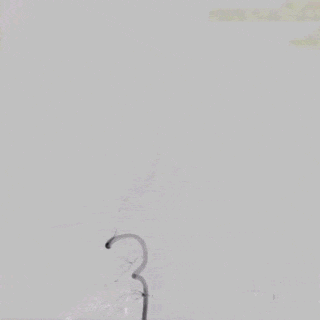 ppt19-3.gif
