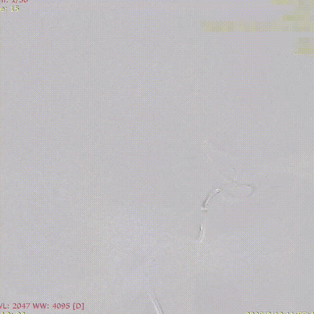 ppt14-2 00_00_00-00_00_30.gif