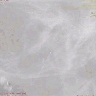 ppt30-2.gif