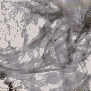 ppt29-2.gif