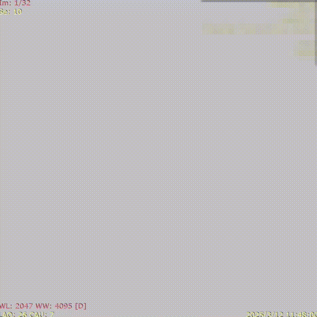 ppt9-1 00_00_00-00_00_30.gif