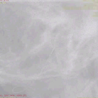 ppt28-2.gif