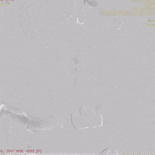 ppt38-1.gif