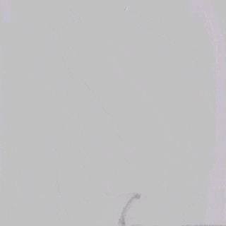 ppt20-1.gif
