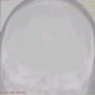 ppt21-1.gif