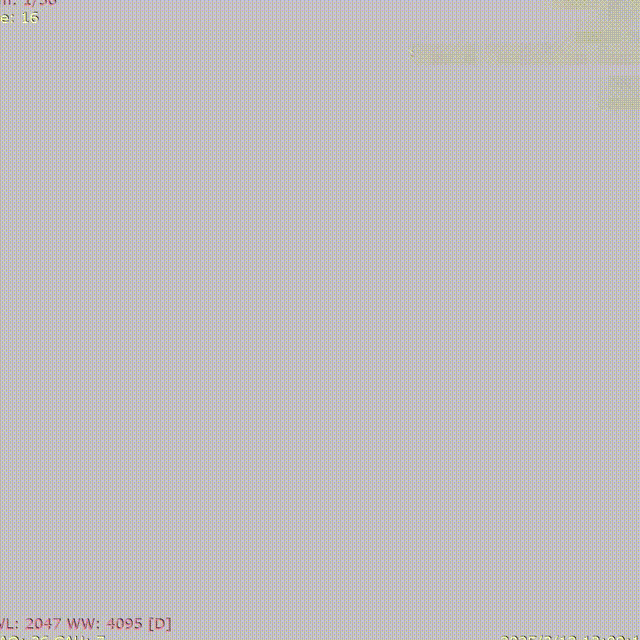 ppt15-1 00_00_00-00_00_30.gif