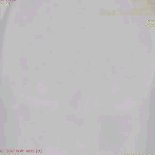 ppt43-3.gif