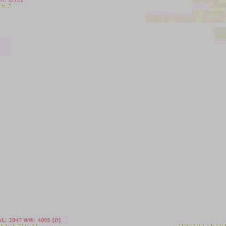 ppt19-2.gif